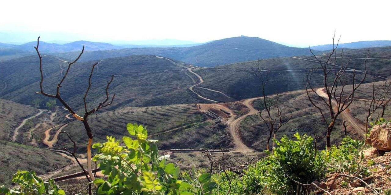 Bir yıl önce yanan saha havadan görüntülendi