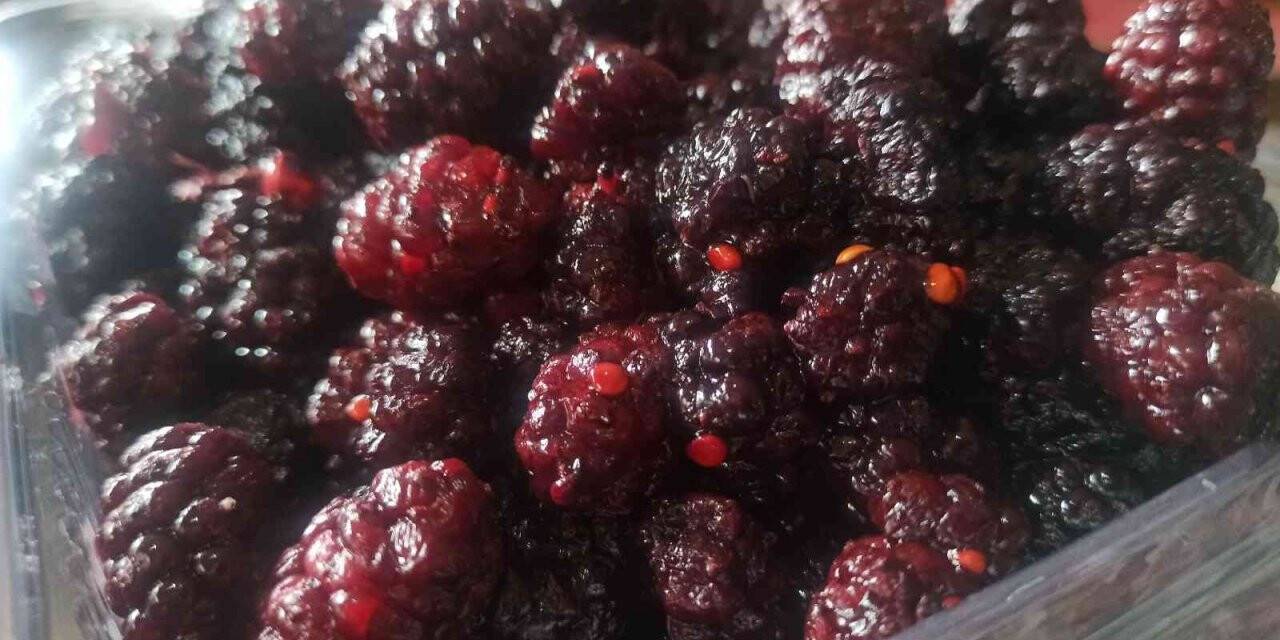 Urmu dut şifa kaynağı