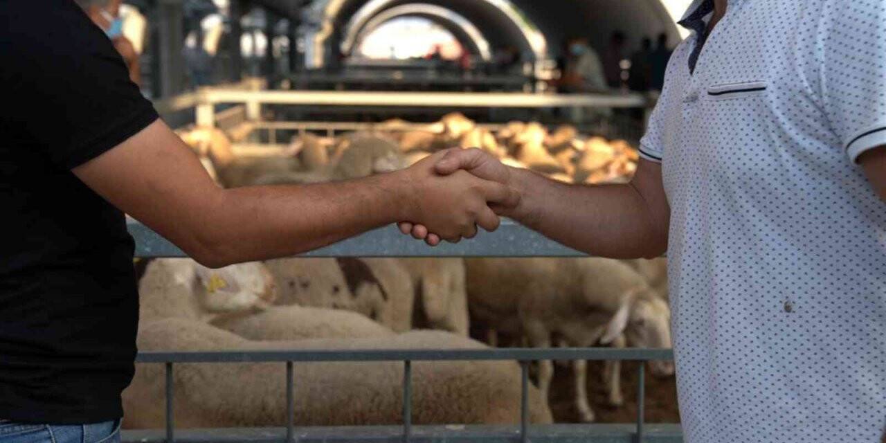 Hayvan pazarında padok kiralama ücretleri belirlendi