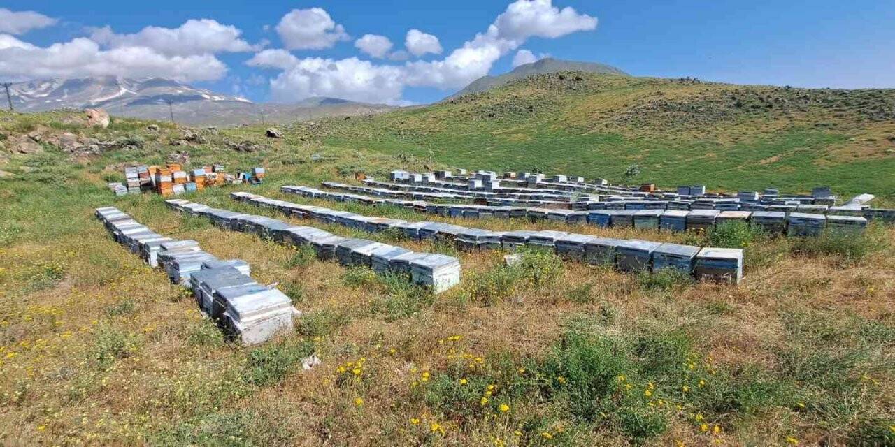 Süphan Dağı’nın eteklerinde organik bal üretimi