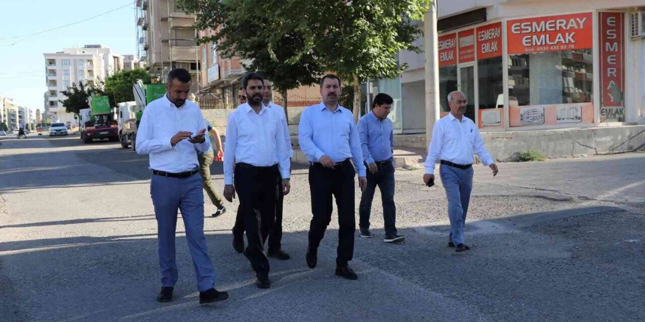 Baydilli saha çalışmalarını sürdürüyor