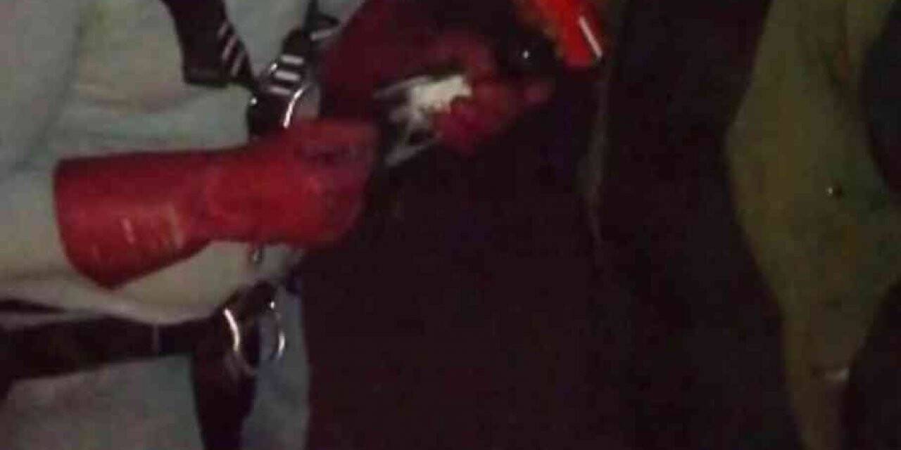 Bitlis’te elektrik tellerine takılan karga kurtarıldı