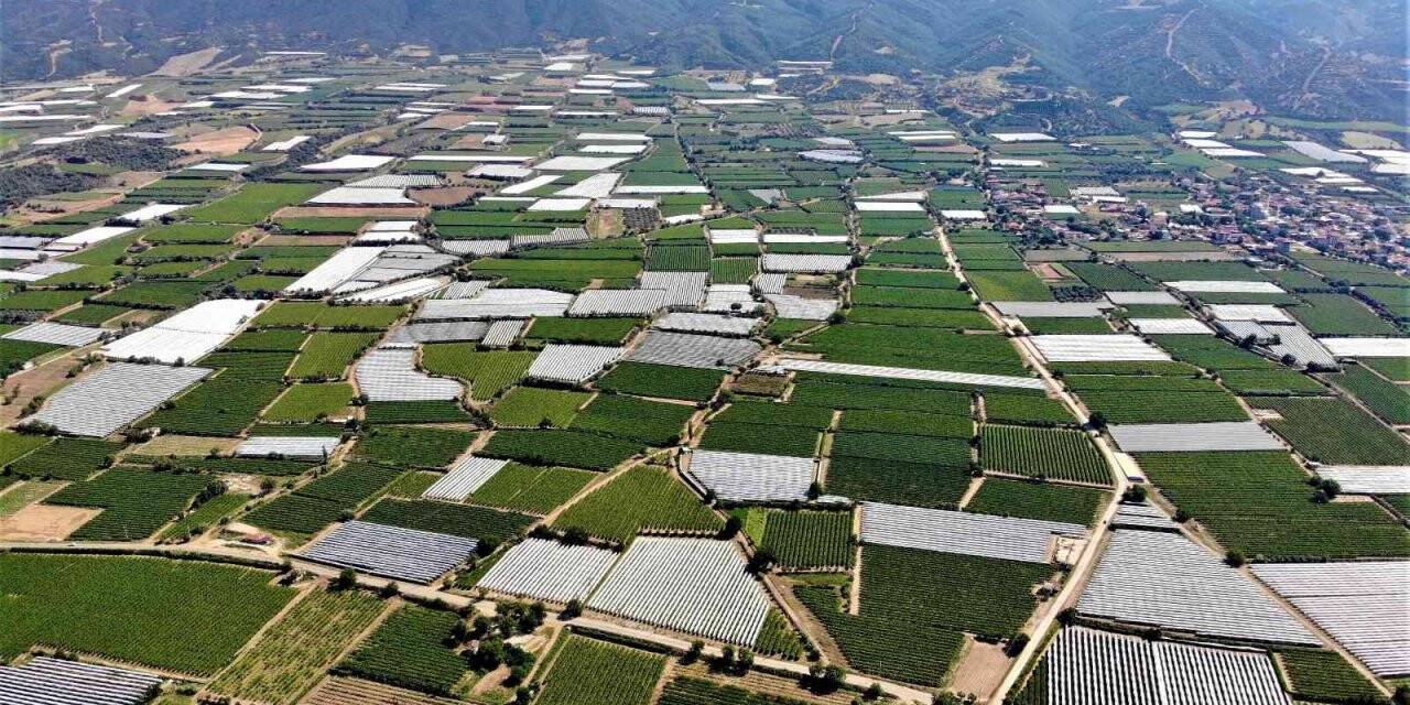 Sarıgöl’de üzüm bağları koruma altına alınmaya başladı