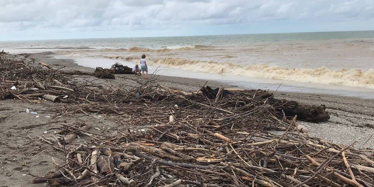 Aşırı yağışlarla gelen ağaç ve çöpler Akçakoca’da sahile vurdu