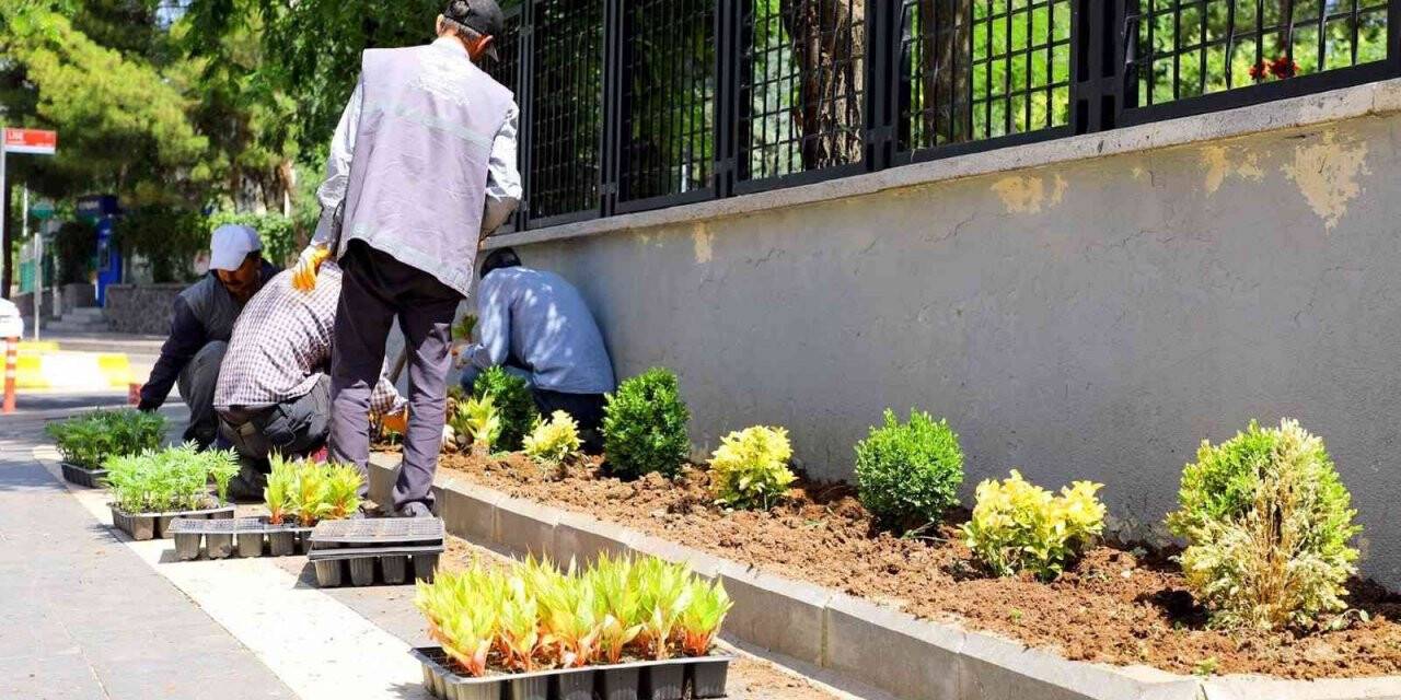Yenişehir’de park ve bahçelerde bakım