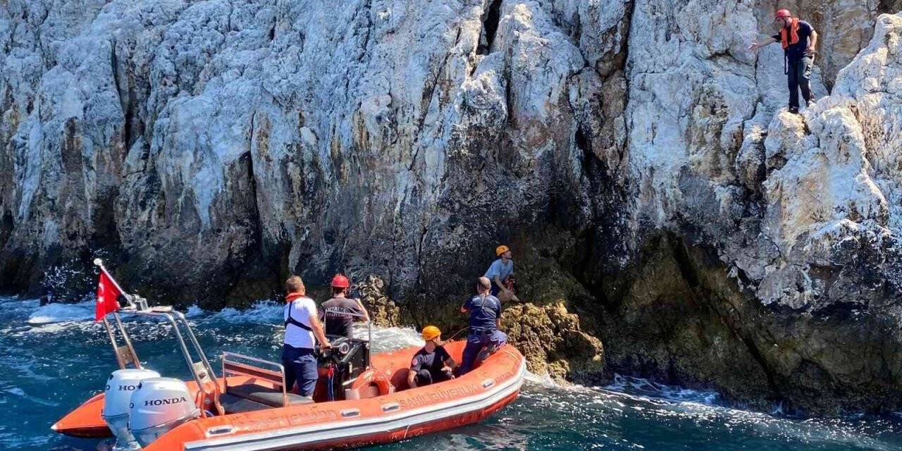 Denize sıfır sarp kayalıklarda mahsur kalan anne ve yavru yaban keçilerine kurtarma operasyonu