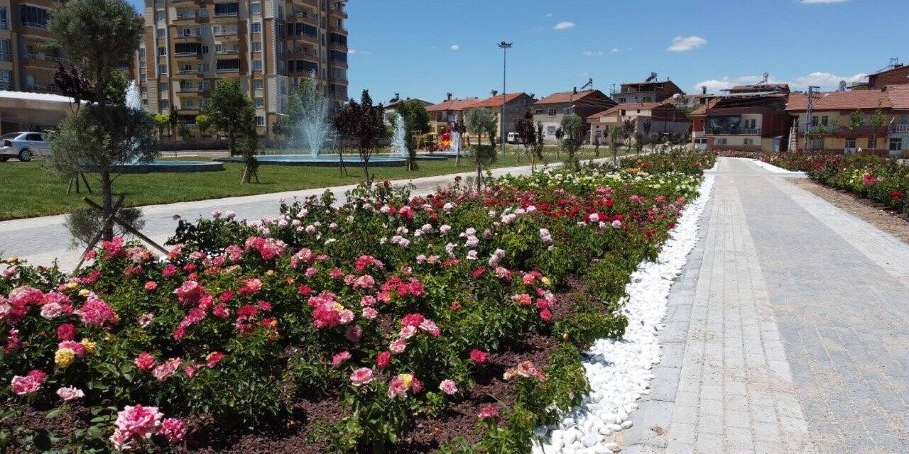 Battalgazi’deki gül bahçesinde sona yaklaşıldı