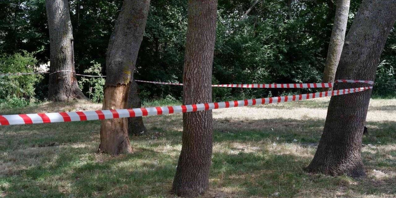 Edirne’de ormanlara giriş 3 ay yasaklandı