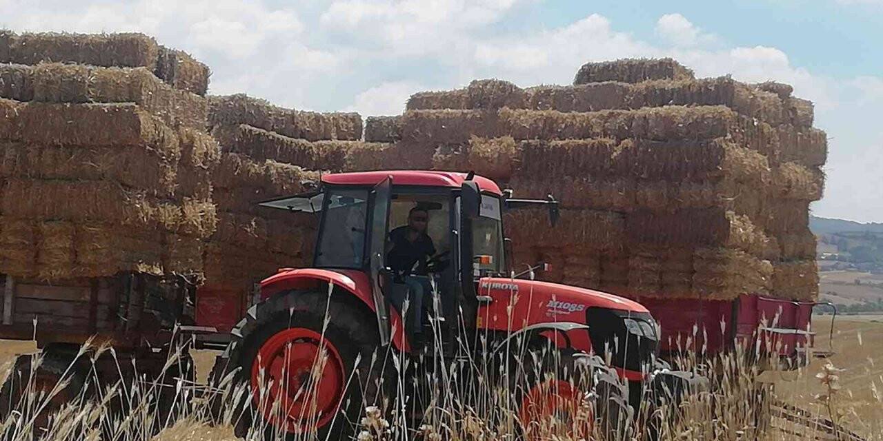 Manyas’ta saman balyaları depolara konuyor