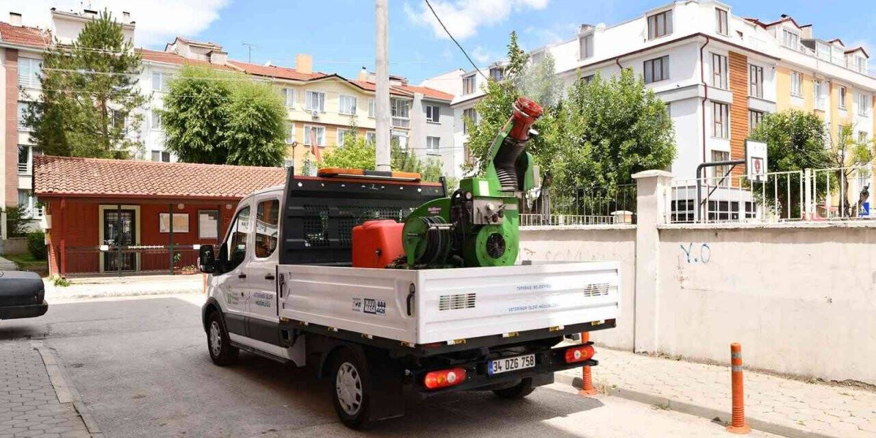 İlaçlama çalışmaları sürüyor