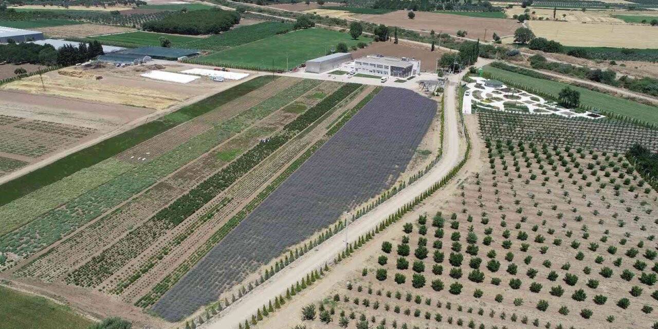 A’dan Z’ye aromaterapi BAÇEM’de konuşulacak