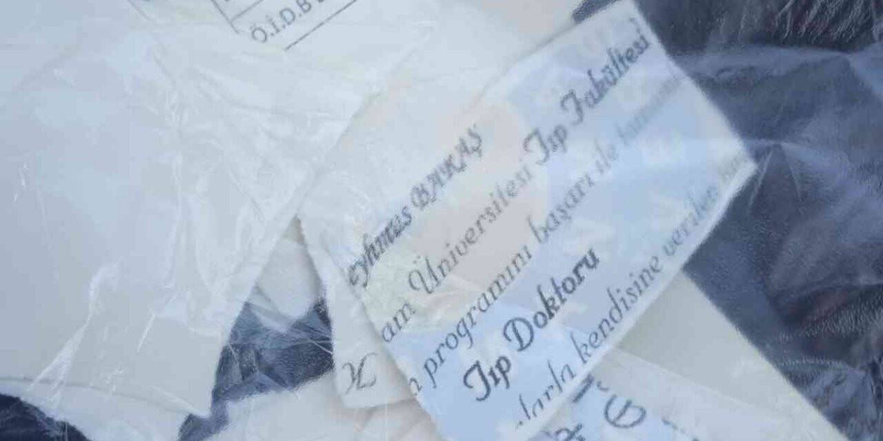 Saldırganlar serbest kalınca doktor diplomasını yırttı