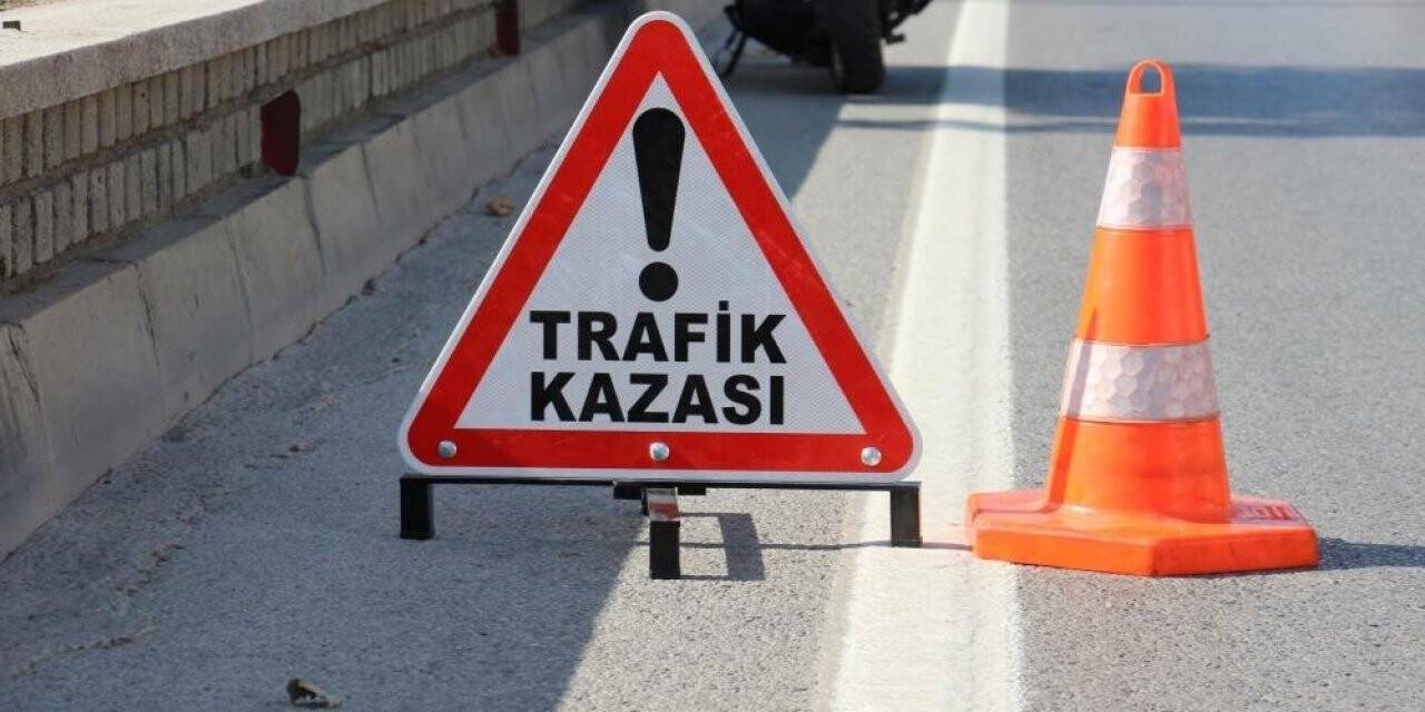 Ağaca çarpan otomobilin sürücüsü hayatını kaybetti