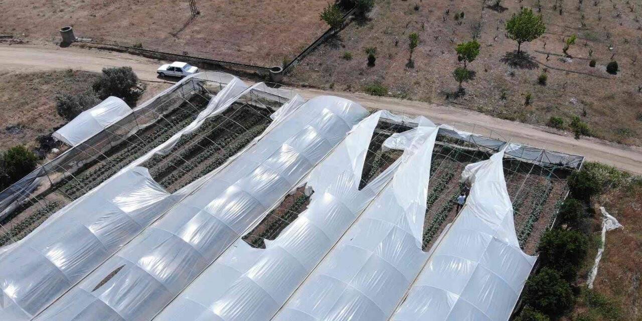 Salatalık seralarını hortum vurdu