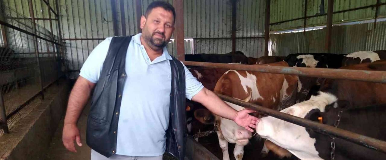 Hayvan dolandırıcılığına dikkat