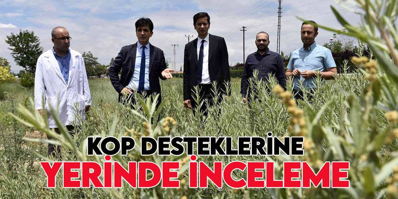 KOP desteklerine yerinde inceleme