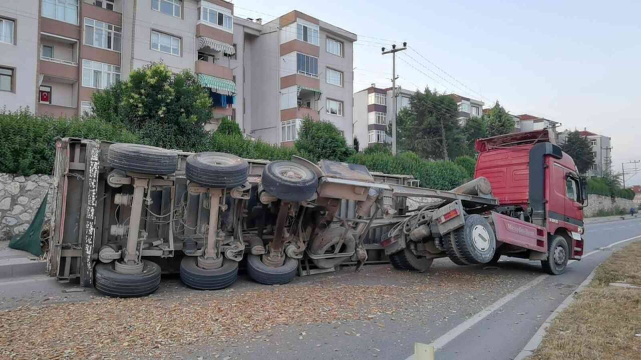 Talaş yüklü TIR devrildi