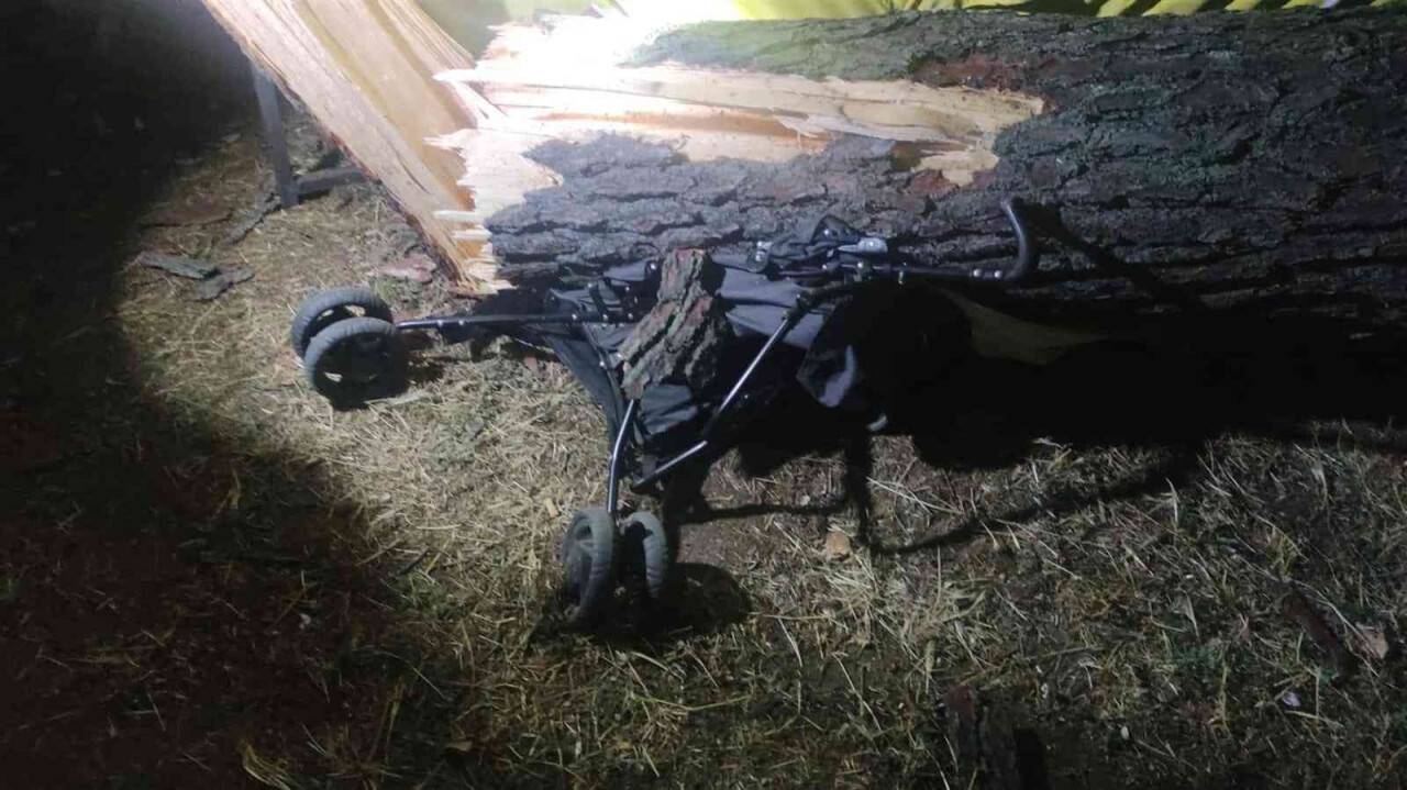 Tonlarca ağırlığındaki çam ağacı ailenin üzerine devrildi