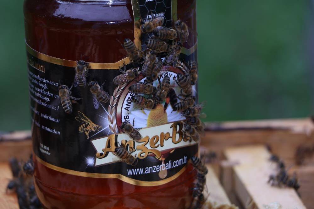 Anzer balının fiyatı belli oldu