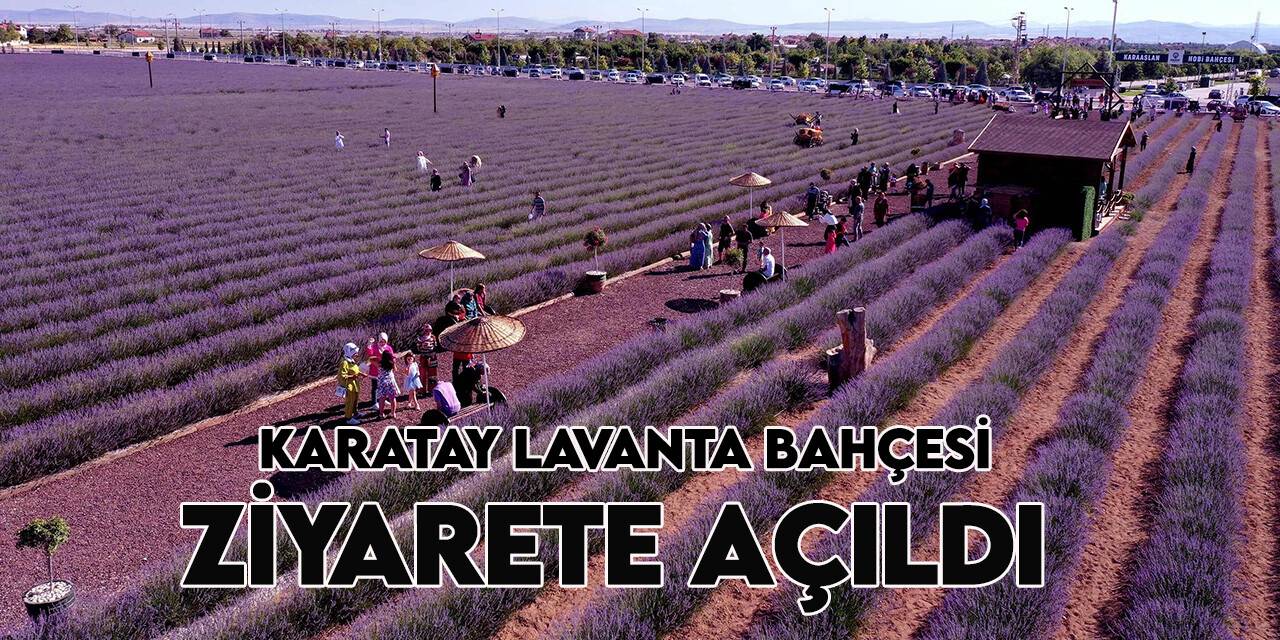 Karatay Lavanta Bahçesi kapılarını vatandaşlara açtı