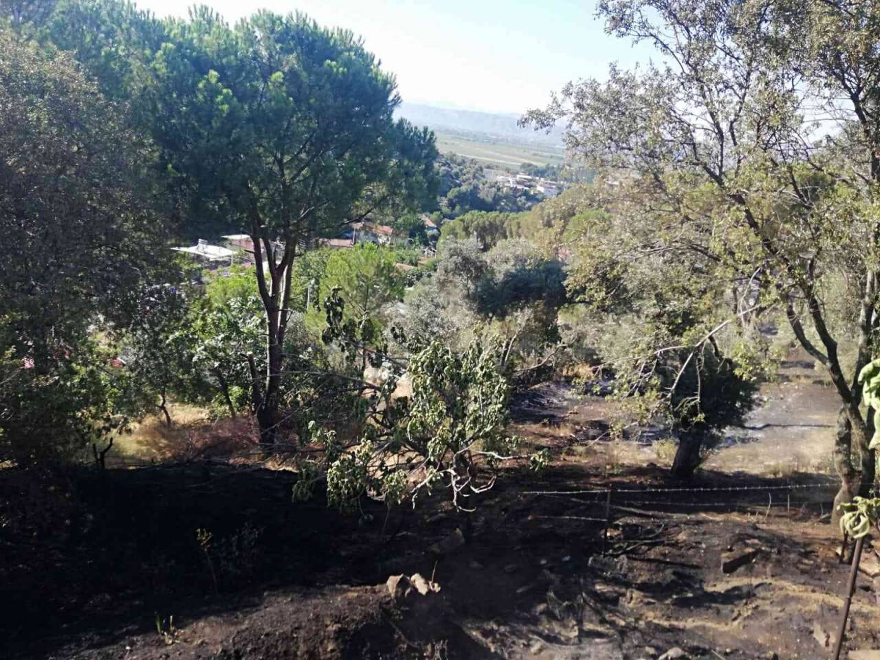 Yangında 100 dönüm arazi zarar gördü