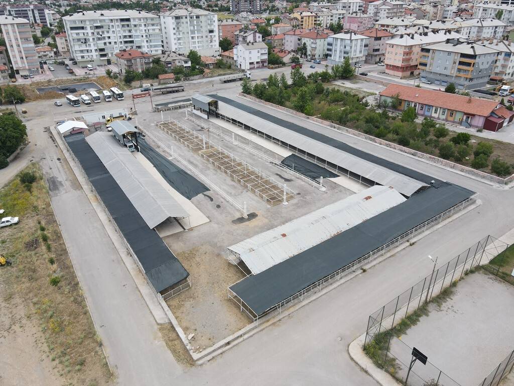 Canlı hayvan pazarı Kurban Bayramı'na hazır