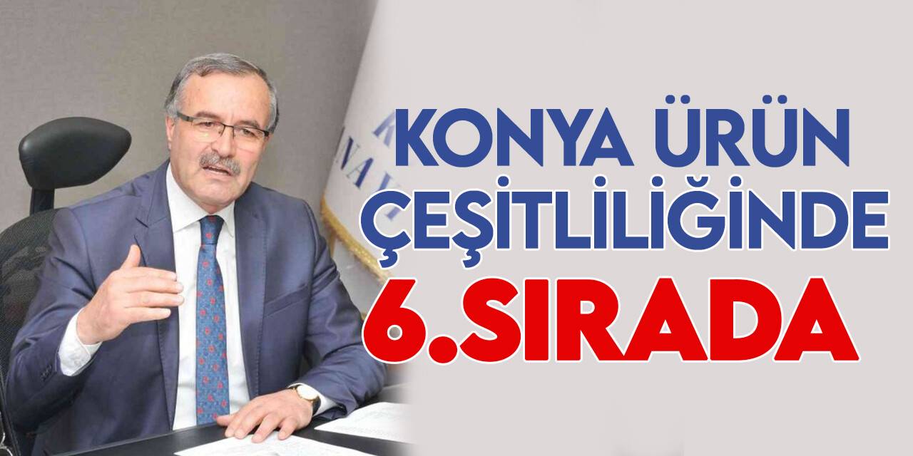 Konya, üretim kapasitesi çeşitliliğinde 6. sırada yer aldı