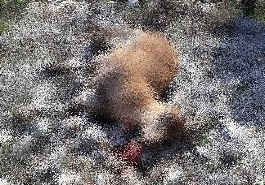 Dağ keçisi avlayan 2 avcıya 758 bin TL ceza