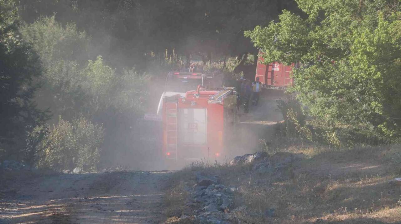 Edirne’de orman yangını kontrol altına alındı