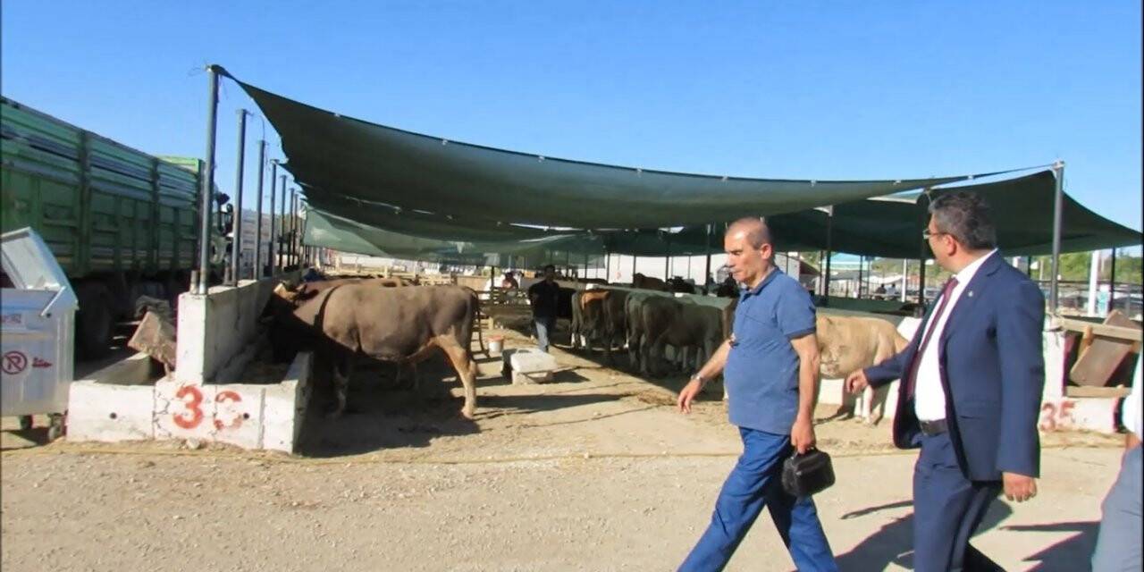 Ekici: Kurban pazarları hijyenik olmalı