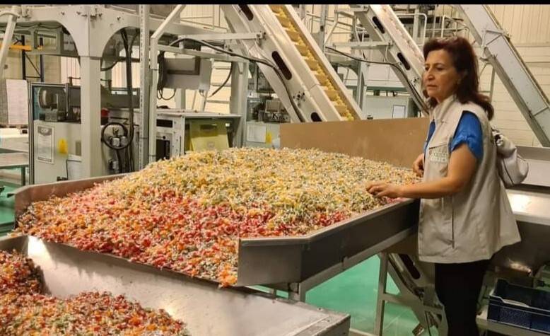 Tekirdağ’da çikolata üreticilerine Bayram denetimi