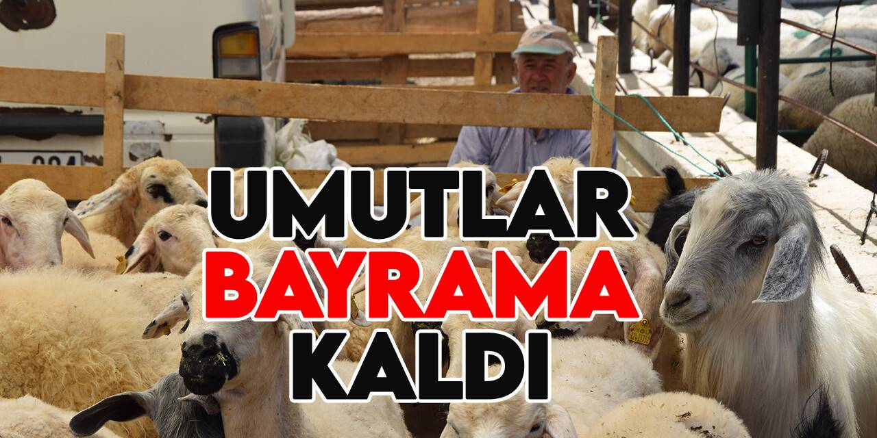 Umutlar bayrama kaldı