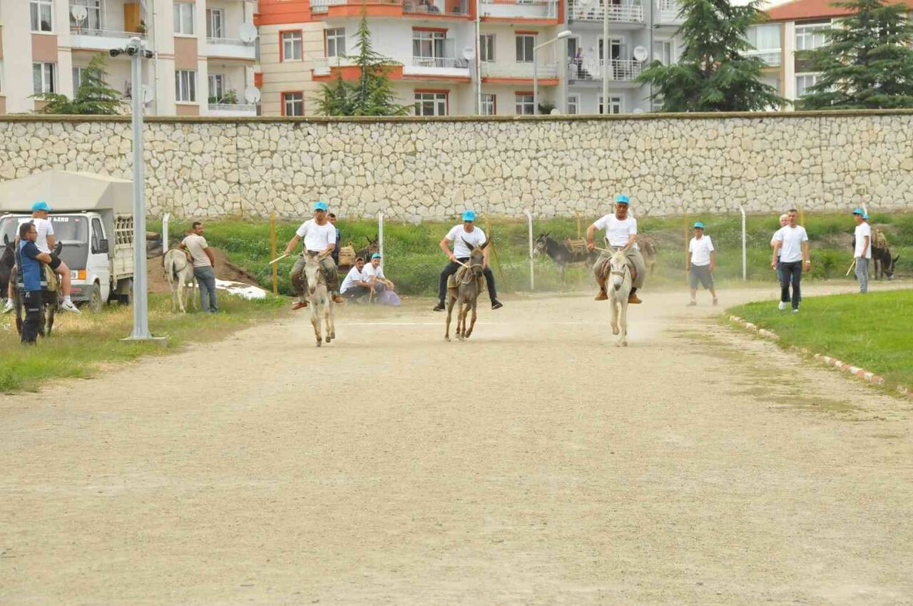 Eşekler birincilik için yarıştı
