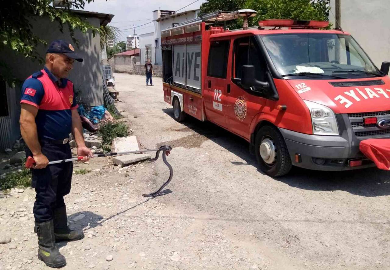 Osmaniye’de eve giren yılanı itfaiye yakaladı