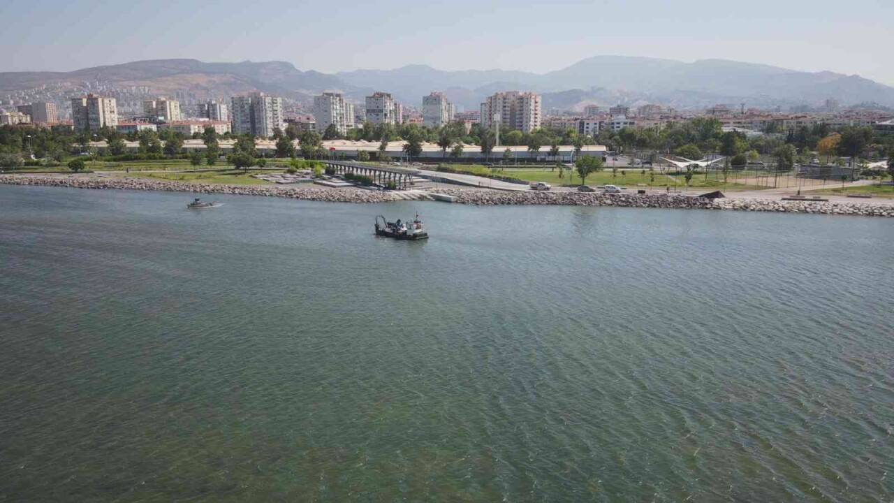 Bostanlı’daki deniz marulu temizliği tamamlandı