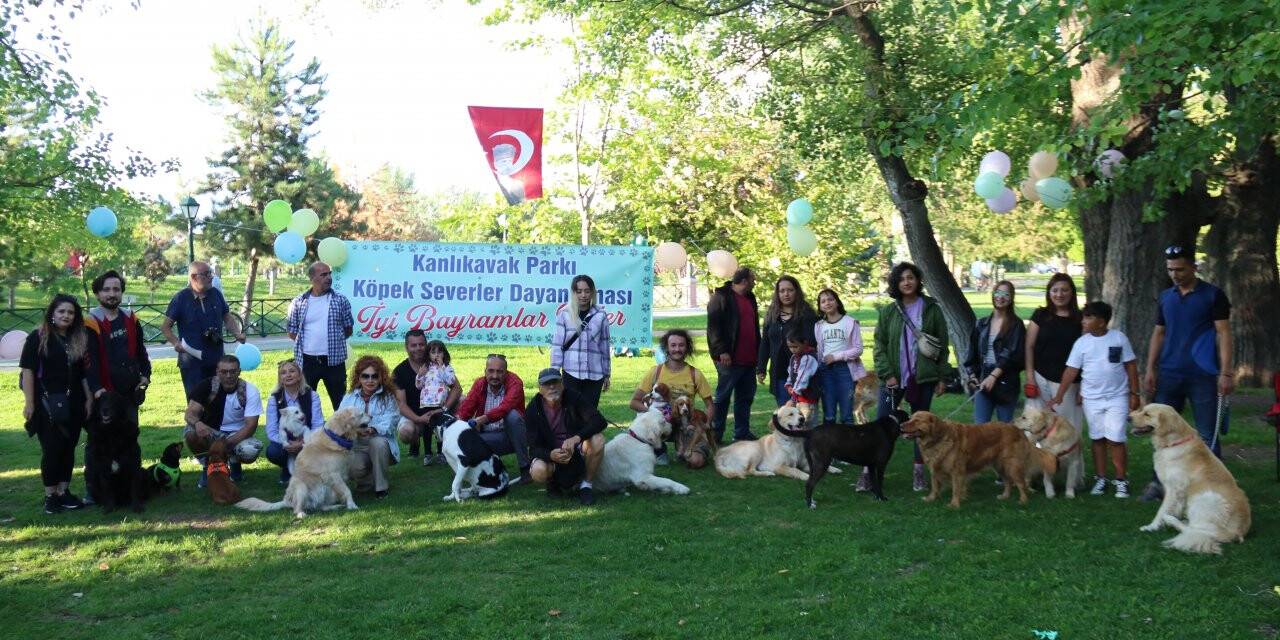 Farkındalık oluşturmak için ‘Pati Şenliği’nde buluştular