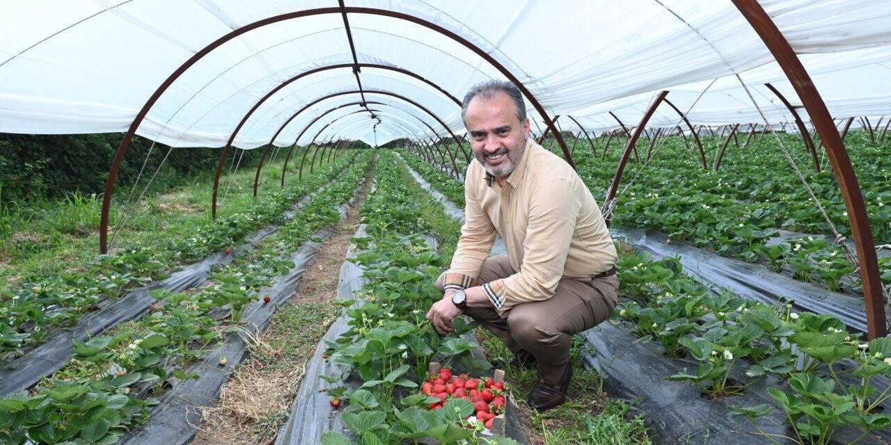 Çiftçilerin hasat bayramı