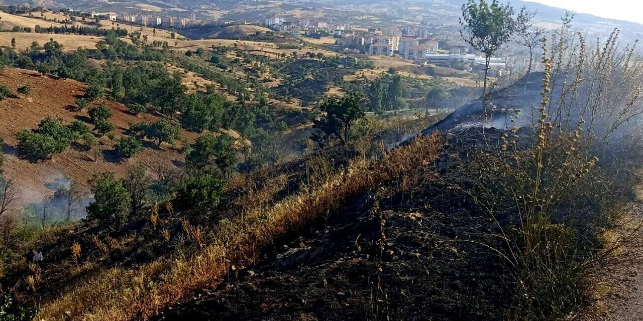 Piknikçiler yangına neden oldu