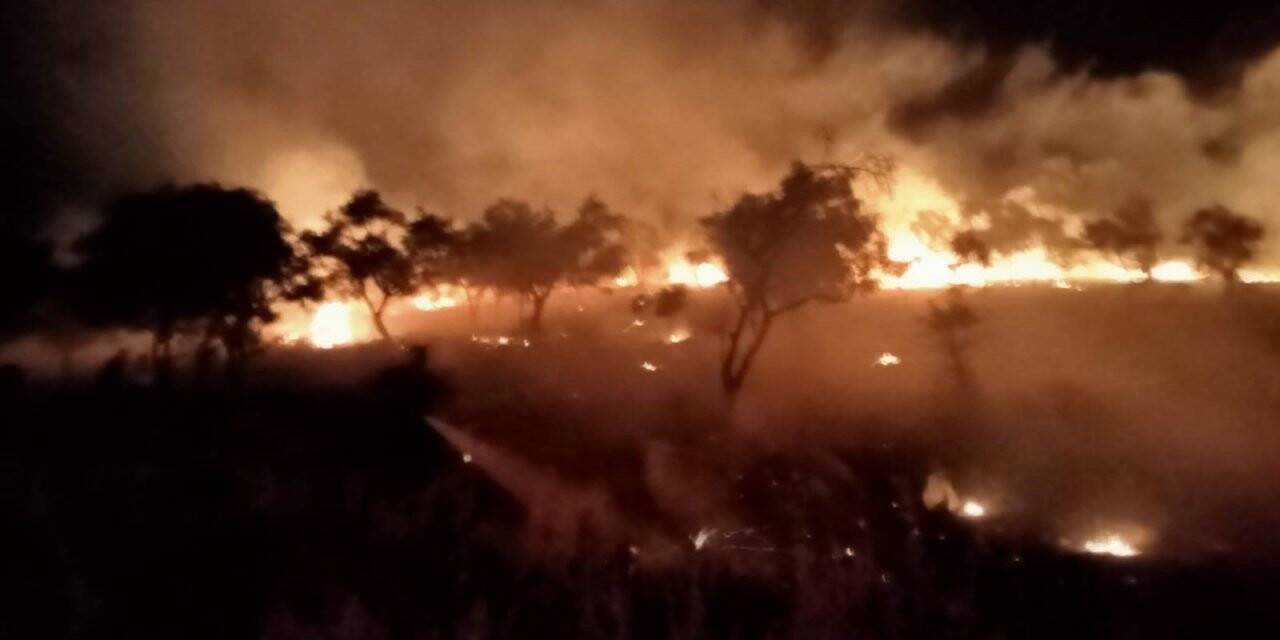 Sigara izmariti yangın çıkardı