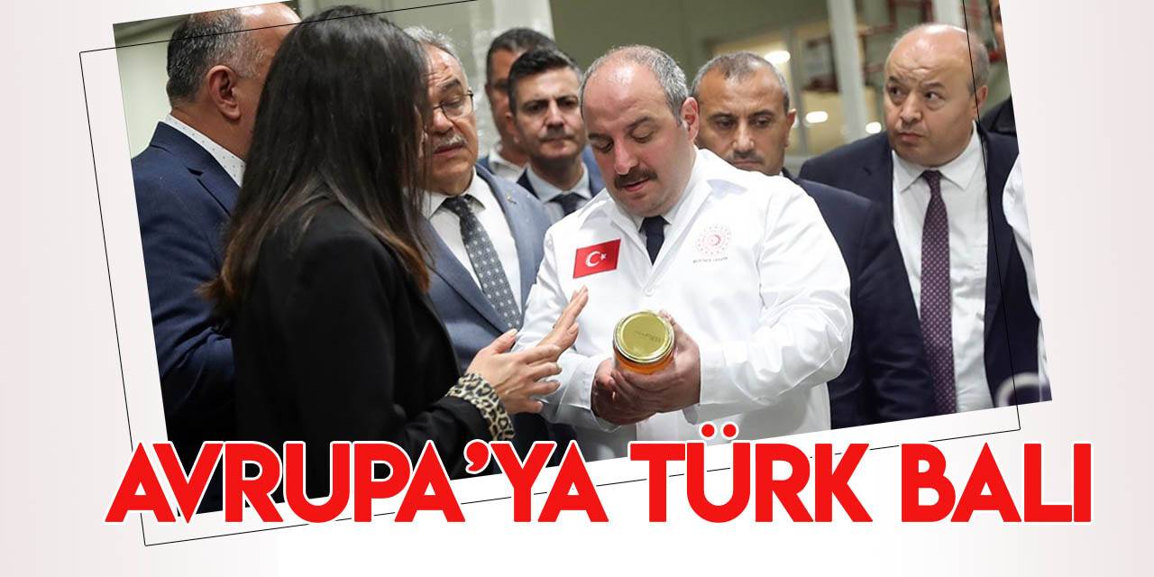 Avrupa'ya Türk balı
