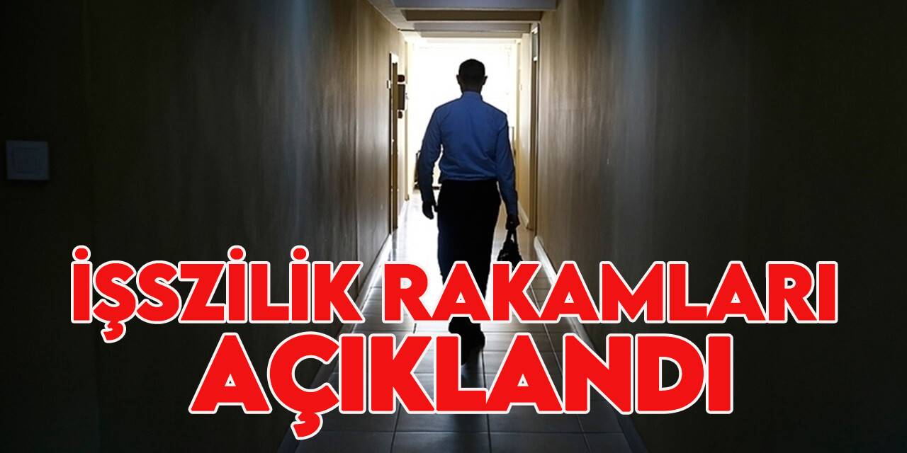 İşsiz sayısı 3 milyon 785 bin kişi oldu