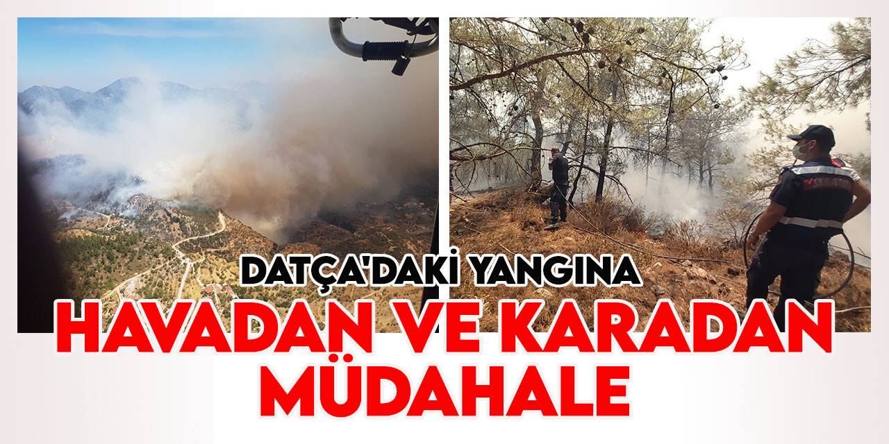 Datça'da çıkan orman yangınına havadan ve karadan müdahale ediliyor