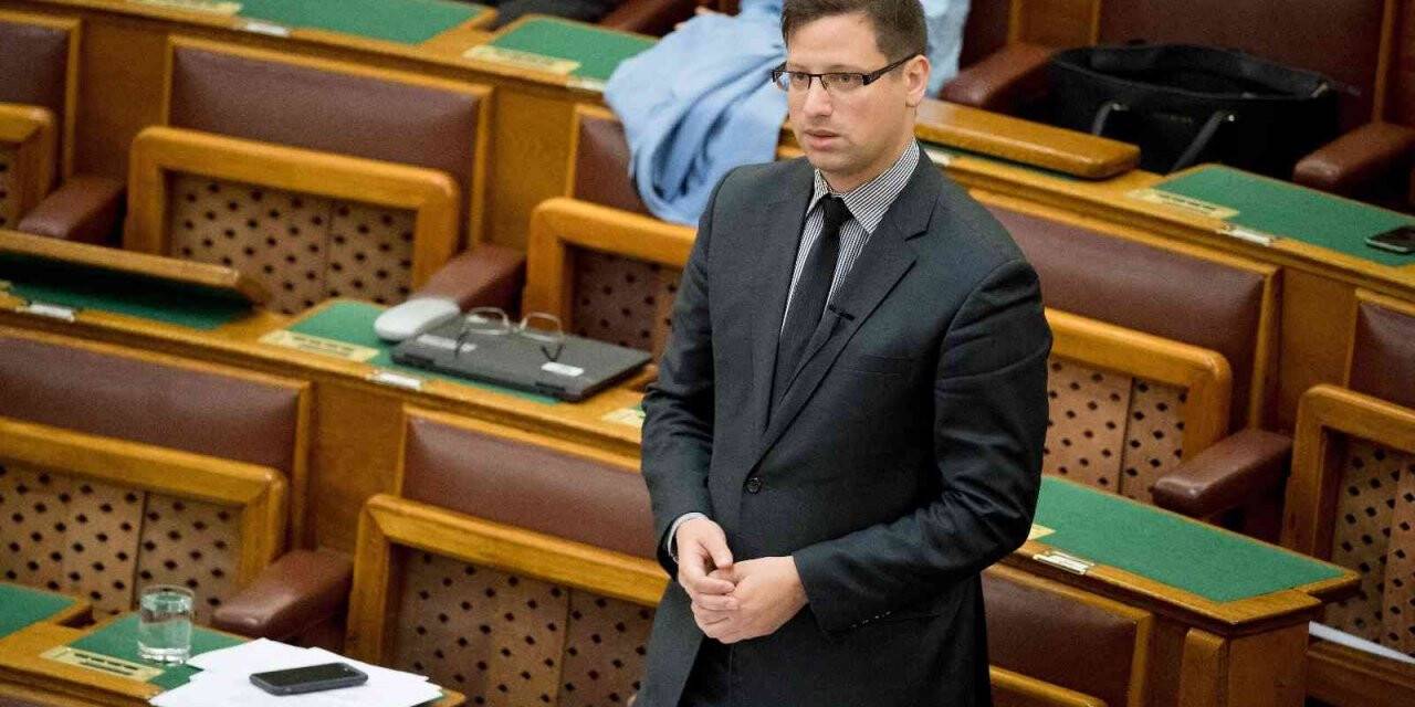 Macaristan’da enerji sektöründe “acil durum” ilan edildi