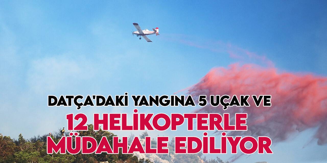 Datça’da günün ilk ışıkları ile birlikte orman yangınına havadan müdahale yeniden başladı