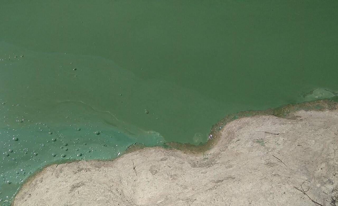 Rengi değişen Sazlıdere Barajı için inceleme başlatıldı