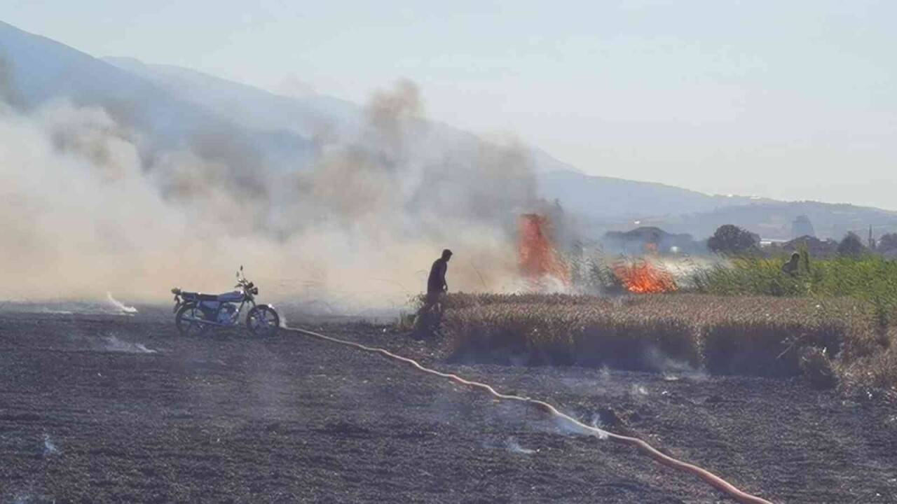 Buğday tarlası yangında küle döndü