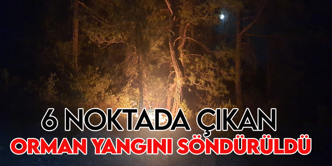 Adana'da çıkan orman yangınları büyümeden söndürüldü