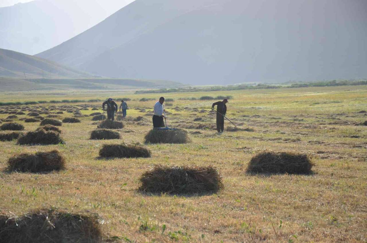 Şırnak’ta besicilerin kış mesaisi başladı