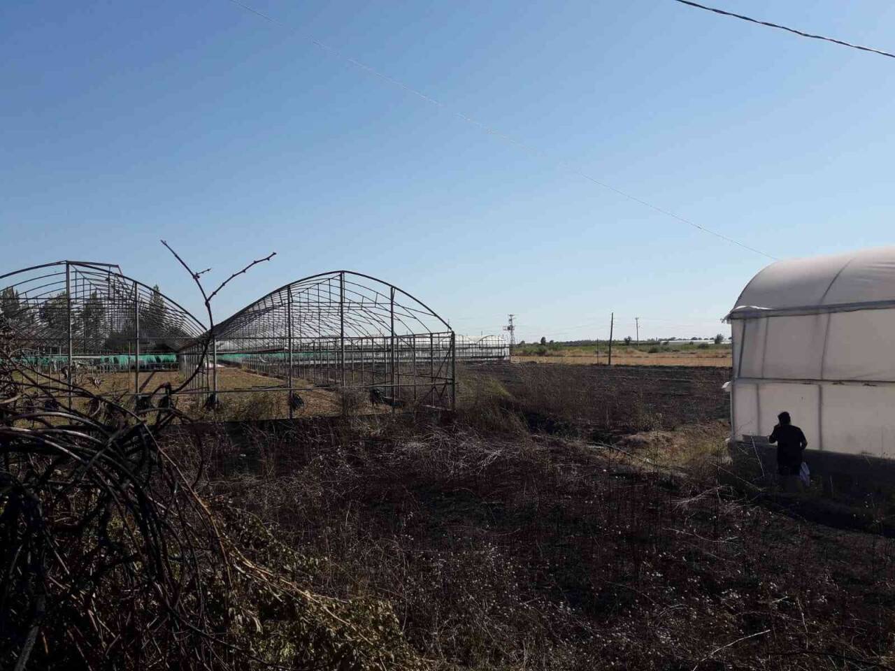 Antalya’da makilik alanda çıkan yangın seralara zarar verdi