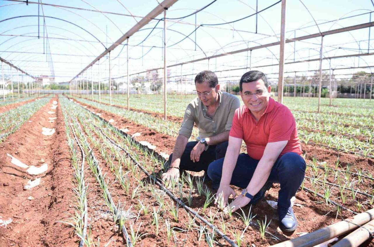 Kepez tatilde canla başla çalıştı